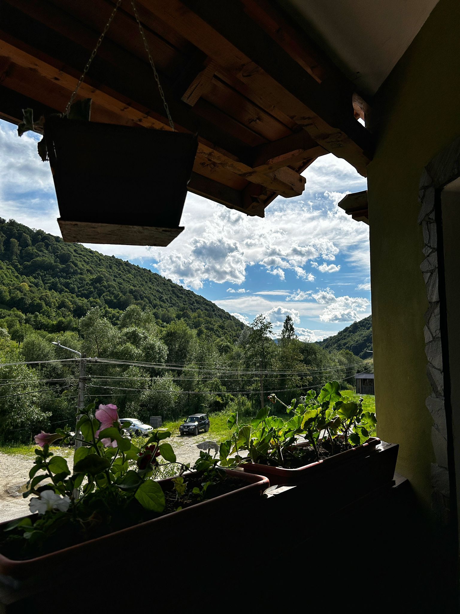 Cameră