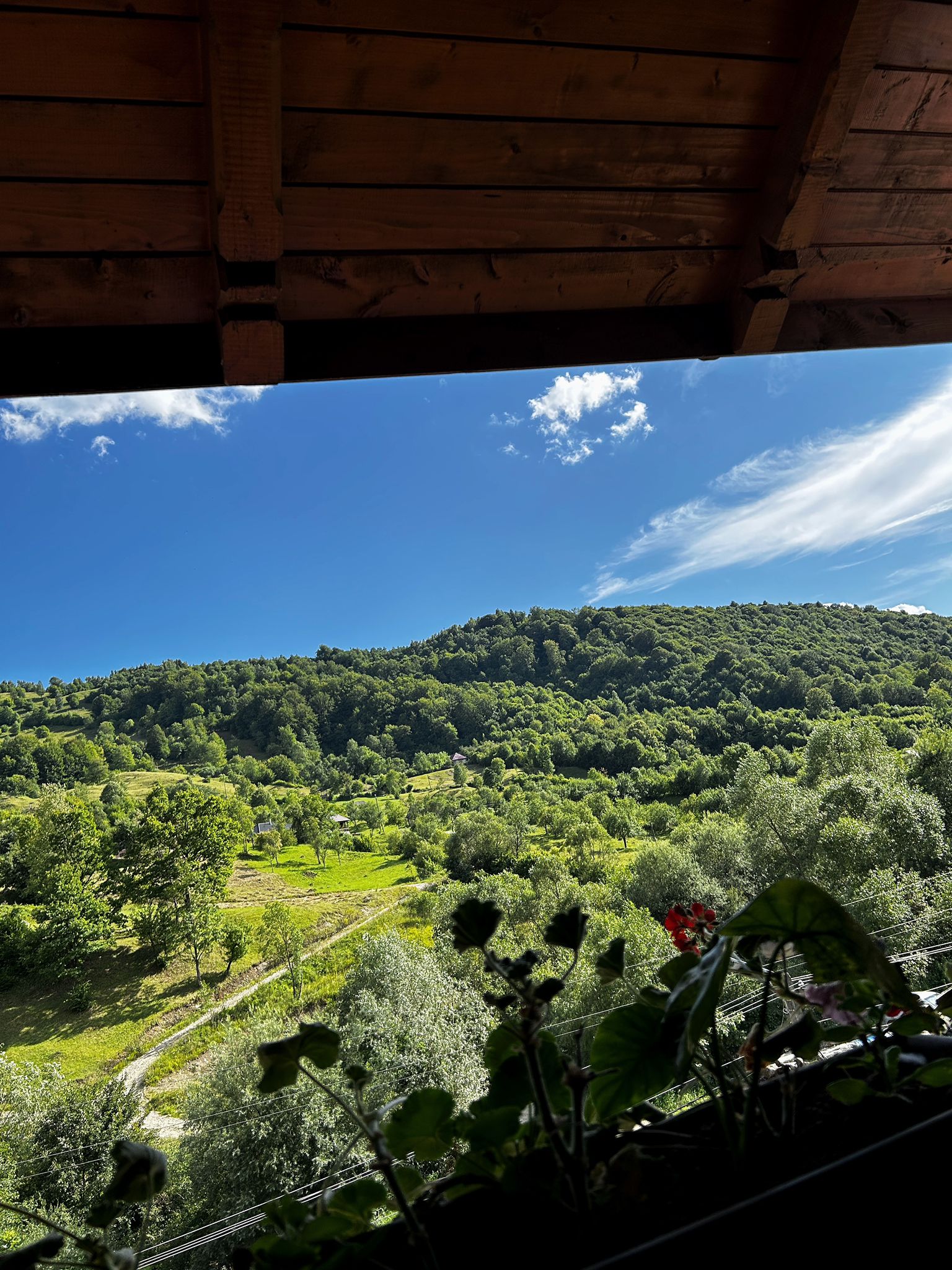 Priveliște